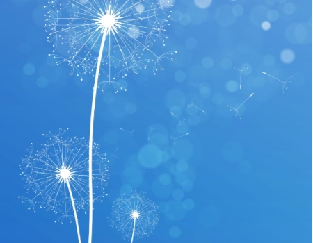 450 x 350 fate - Made with DesignCap